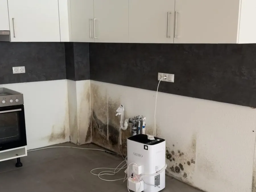 Schimmelbefall an der Küchenwand hinter der Spüle vor der Sanierung, Wohnung in Axams, Tirol