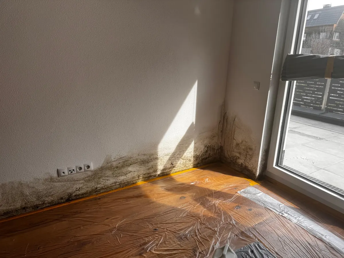 Schimmel in einer Raumecke neben dem Fenster vor der Schimmelsanierung, Wohnung in Axams